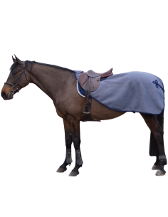 Canter Brandenburg Polar Kidney Cover