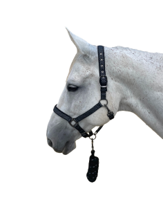 Set Licol + Longe Canter Sonoma Noir