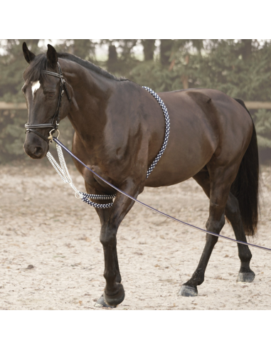 Soft Rope Canter Reining