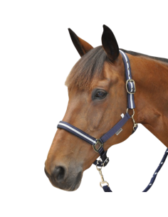 Set Licol + Longe Canter Lurex Marine/Argent