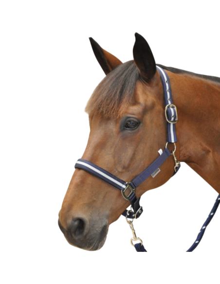 Set Licol + Longe Canter Lurex Marine/Argent