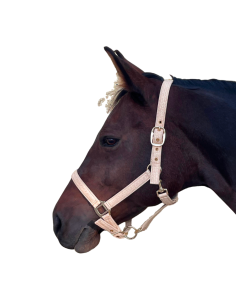 Licol Canter Malibu Vieux Rose