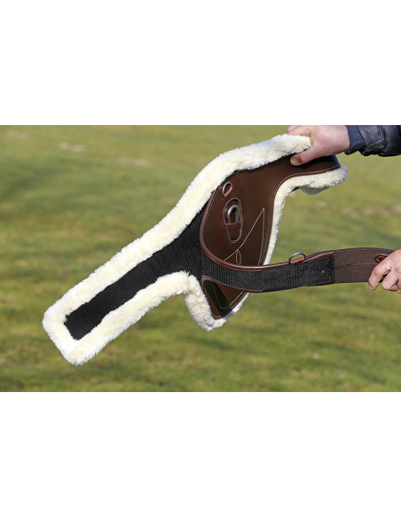 Mouton Kentucky Pour Sangle Bavette