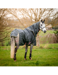 Couverture Horseware Amigo Hero Ripstop Plus 0g gris/rose 2