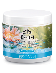 Gel Veredus Tonifiant et Raffraichissant Ice-Gel