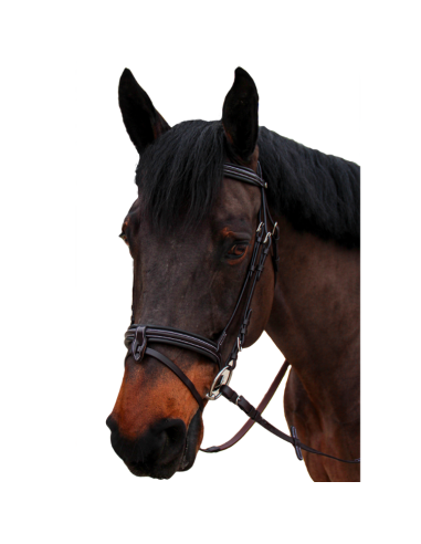 Canter 1/2 round Curved Nino Bridle Brown