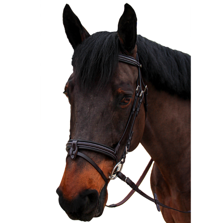 Canter 1/2 round Curved Nino Bridle Brown