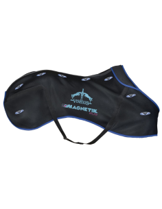 Couverture Veredus Magnetik Noir