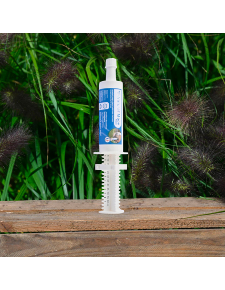 Seringue Natural'Innov Natural'Moov Flash 60ml