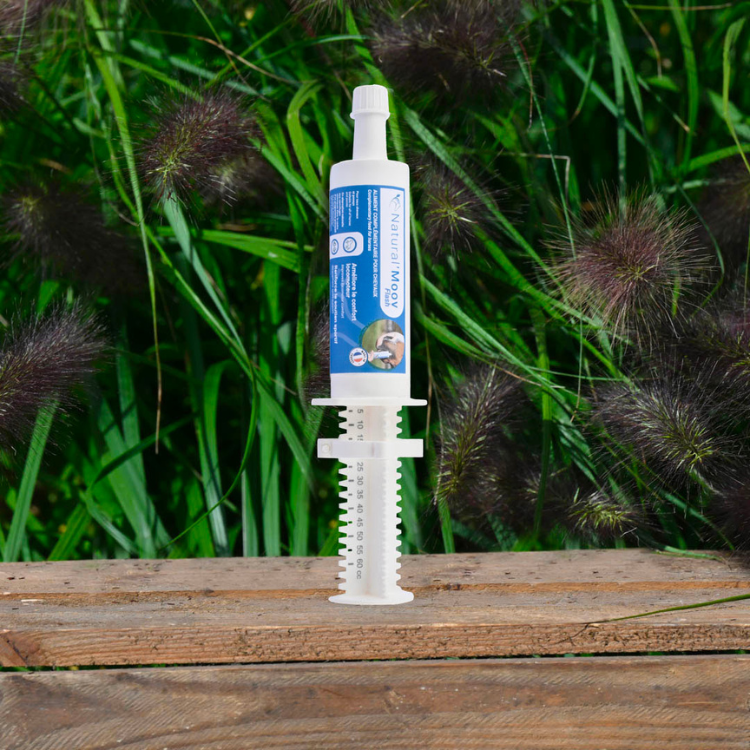 Seringue Natural'Innov Natural'Moov Flash 60ml