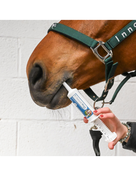 Seringue Natural'Innov Natural'Moov Flash 60ml