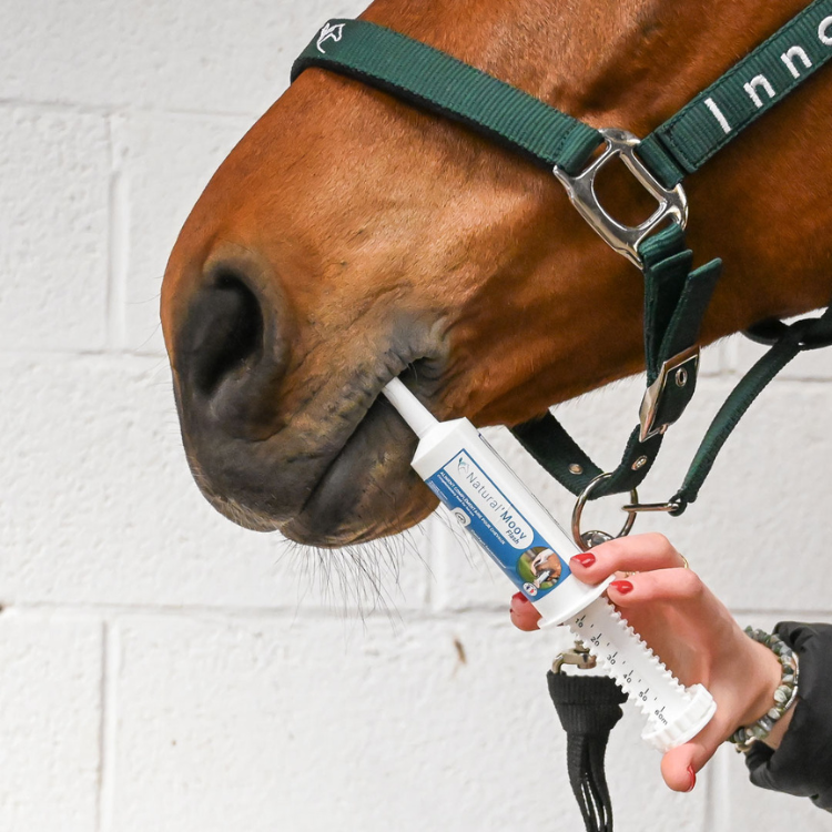 Seringue Natural'Innov Natural'Moov Flash 60ml