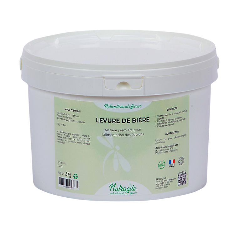 Levure De Bière Nutragile Poudre