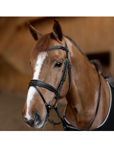 HFI Painted Bridle Black