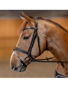 HFI Painted Bridle Black 2