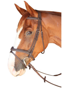 Bridon Privilège Equitation Dinard