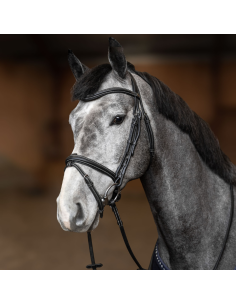 Bridon Combiné HFI Flex Noir