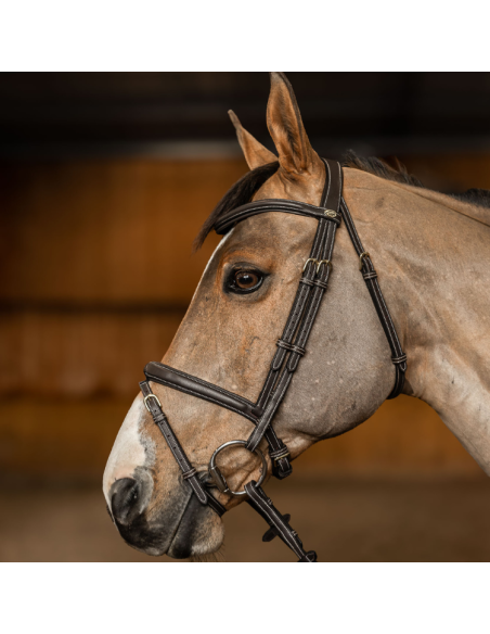HFI Flex Combination Bridle Brown