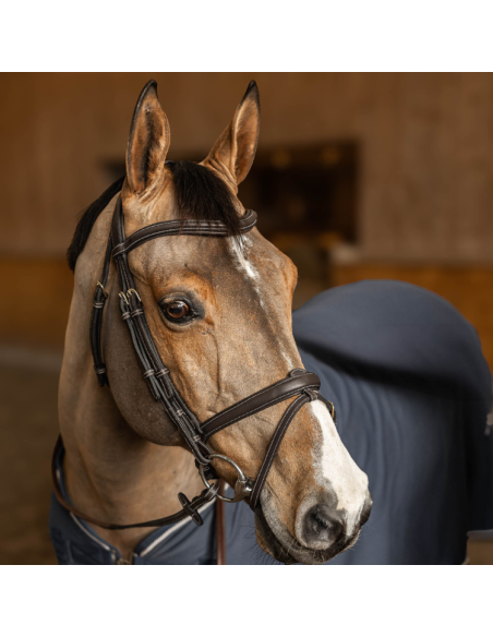 HFI Flex Combination Bridle Brown