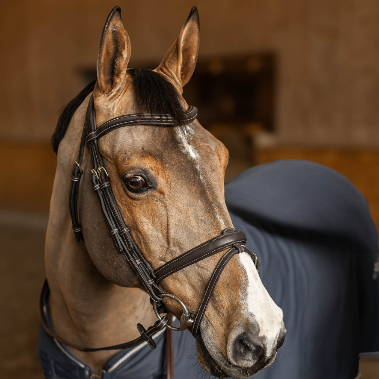HFI Flex Combination Bridle Brown