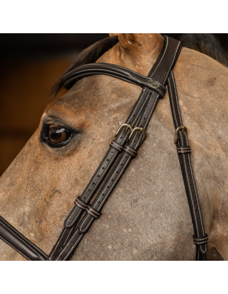 HFI Flex Combination Bridle Brown