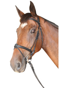 Bridon Privilège Equitation Cabourg