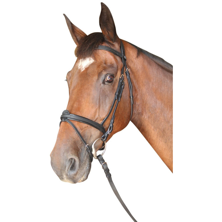 Bridon Privilège Equitation Cabourg