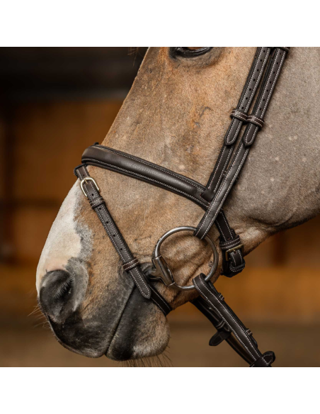 HFI Flex Combination Bridle Brown