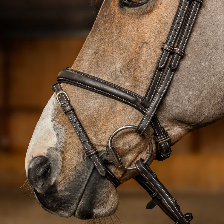 HFI Flex Combination Bridle Brown