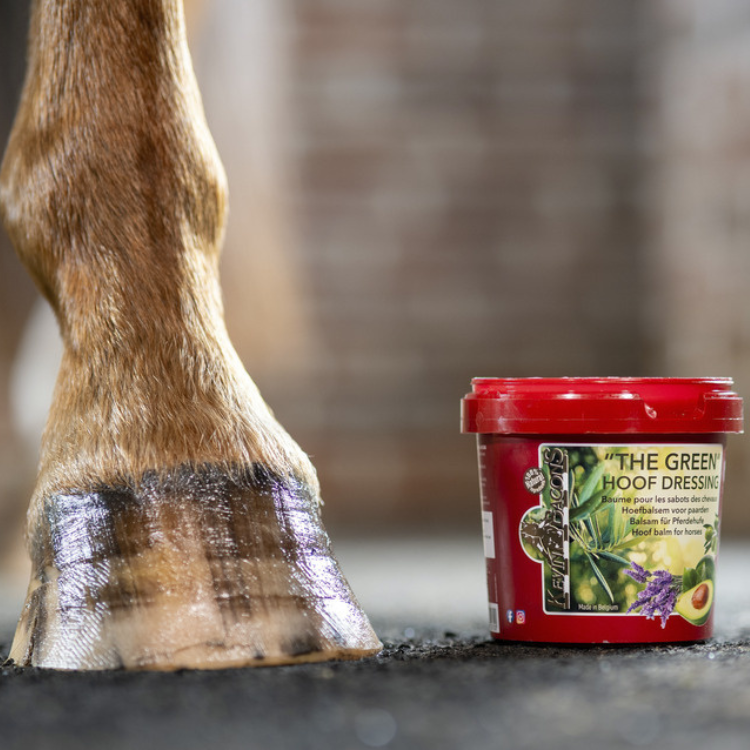 Baume Pour Sabots Kevin Bacon's The Green Hoof Dressing 500ml