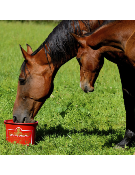 Complément Kevin Bacon's Hoof Formula 5kg