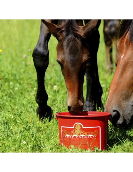Complément Kevin Bacon's Hoof Formula 5kg