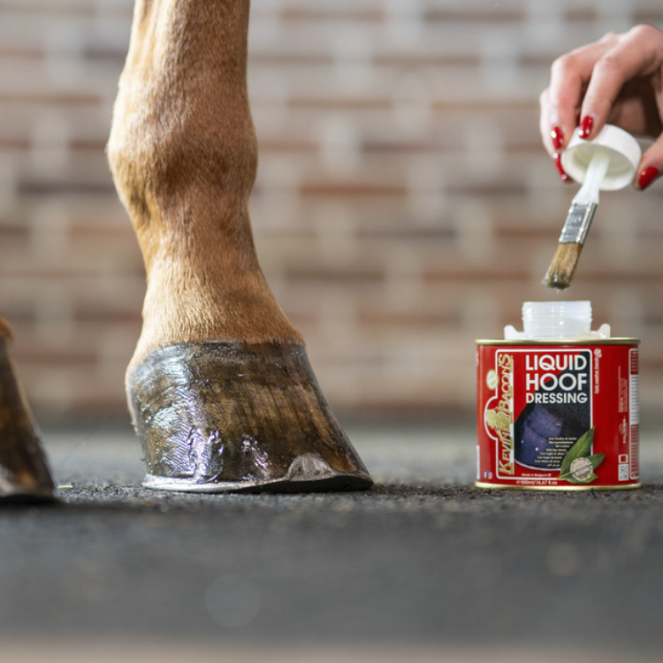 Soin Pour Sabot Kevin Bacon's Liquid Hoof - 500ml, à Base De Laurier, Pinceau Inclus