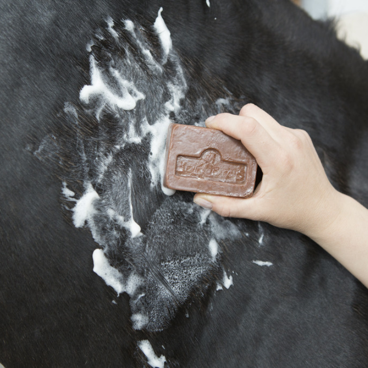 Savon Anti Démangeaison Kevin Bacon's Active Soap 100g