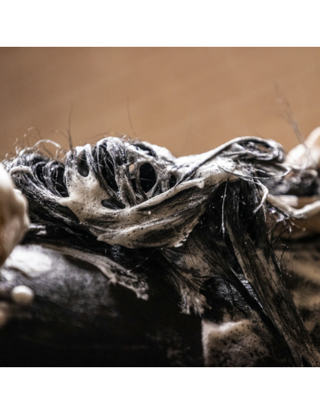 Shampoing Kevin Bacon's Lucy Diamonds