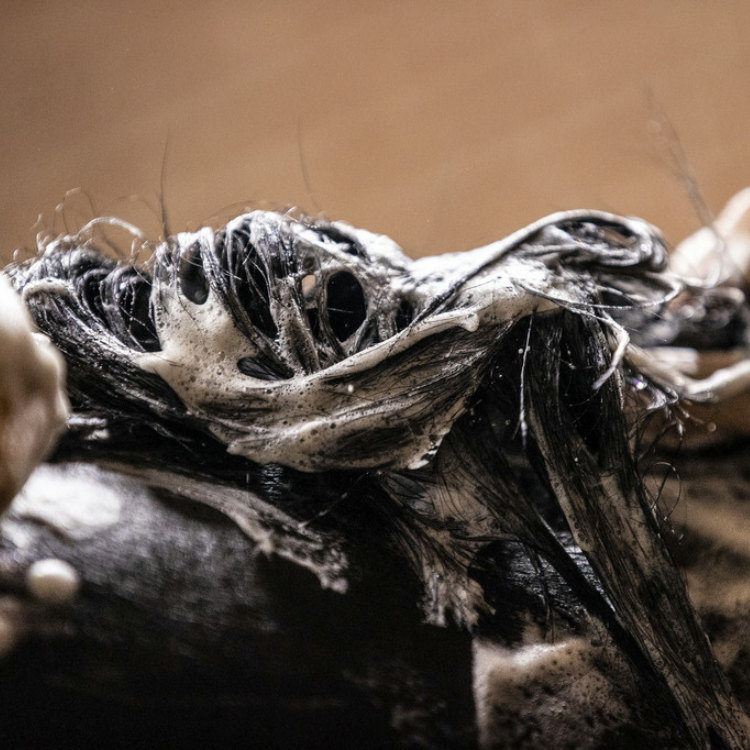 Shampoing Kevin Bacon's Lucy Diamonds