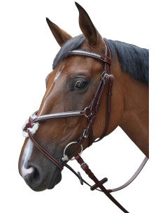 Bridon Lexington Tucson croisé