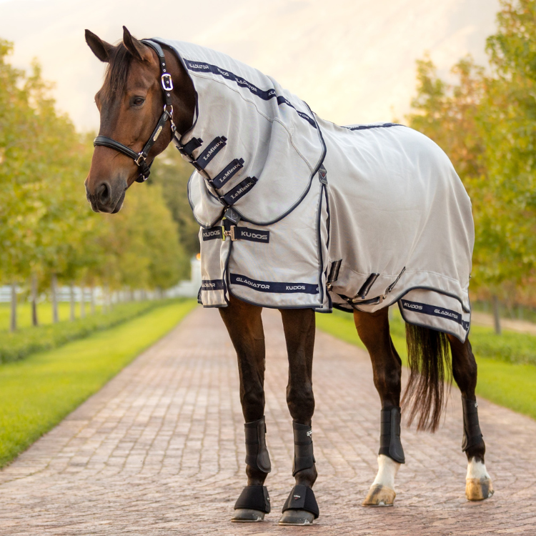 Chemise Anti-Mouches LeMieux Kudos Gladiator