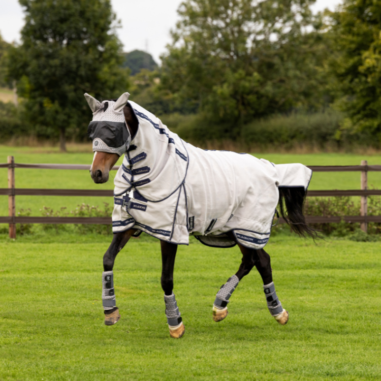 Chemise Anti-Mouches LeMieux Kudos Gladiator