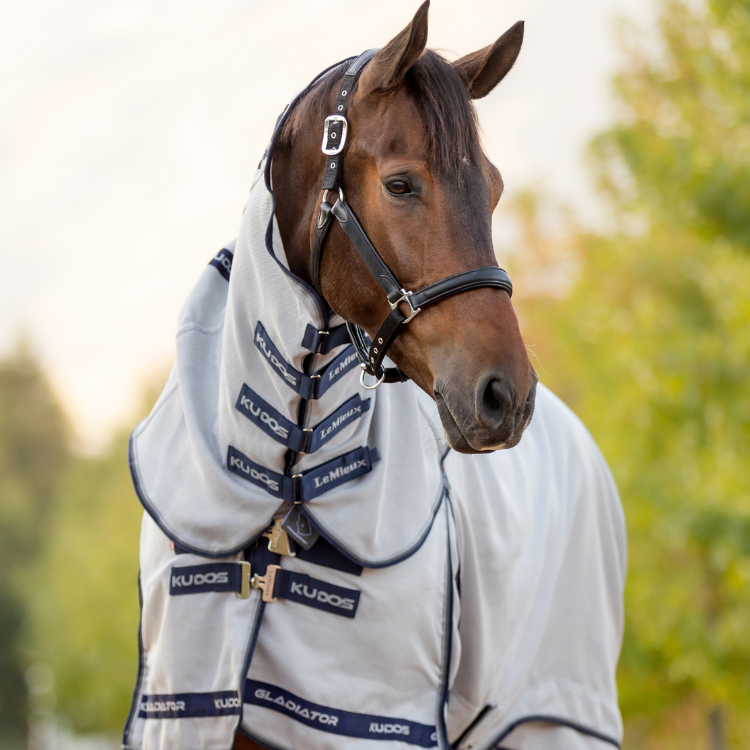 Chemise Anti-Mouches LeMieux Kudos Gladiator