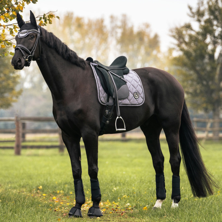 Back On Track "Haze Collection" Dressage Saddle Pad Grey