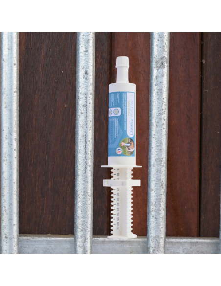 Seringue Natural'Innov Natural’Protect Flash 60ml