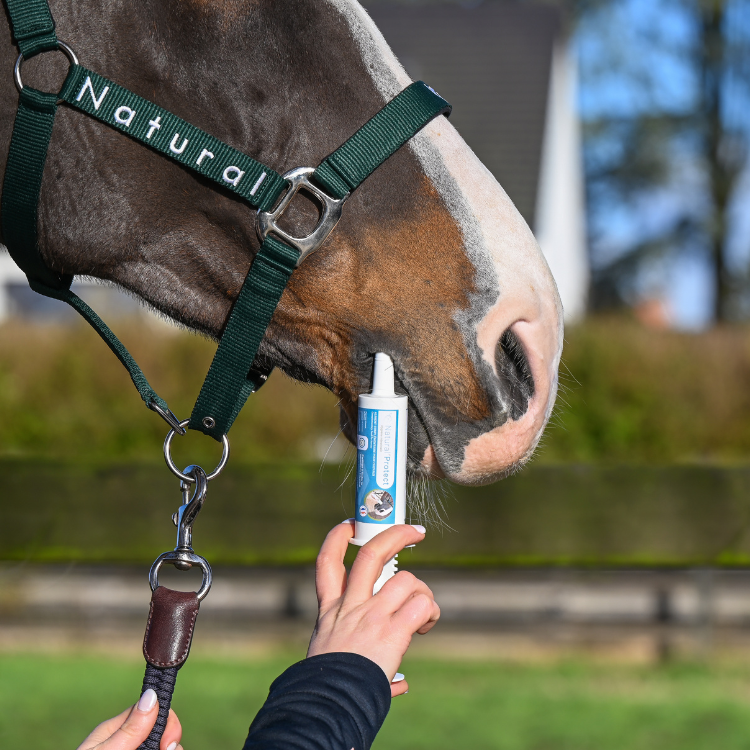 Seringue Natural'Innov Natural’Protect Flash 60ml