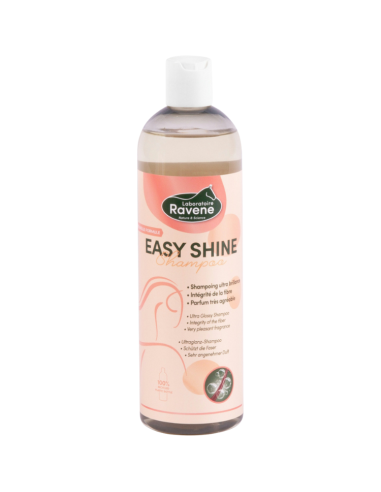 Shampoing Ravene Easy Shine 500ml