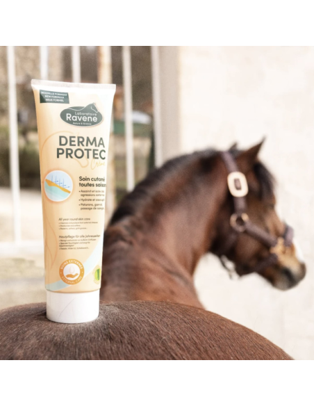 Crème Ravene Dermaprotec 250ml