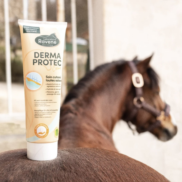Crème Ravene Dermaprotec 250ml