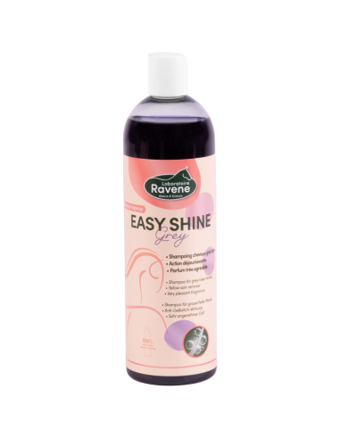 Ravene Easy Shine Grey Shampoo 500ml