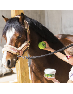 Ravene Gel Emouchine Protec 500ml 2