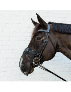 Kentucky Anti Fly Nose Net Black