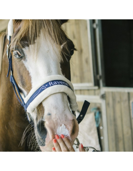 Crème Solaire Ravene Sun Protec 150ml